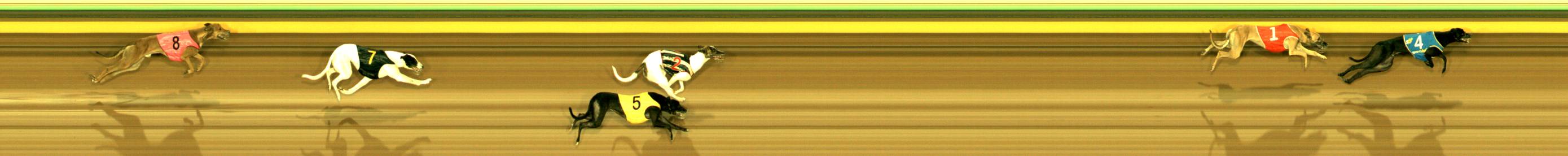 Race result finish photo